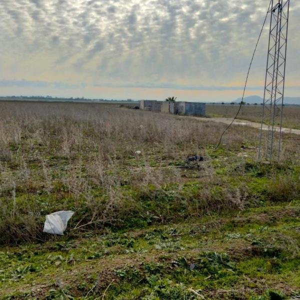 Manouba: Récupération d'un terrain domanial agricole de 30 ha
