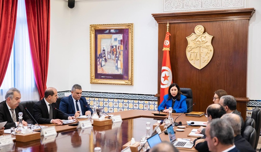   Commission des mégaprojets : la reconstruction du stade olympique d’El Menzah à l’ordre du jour
