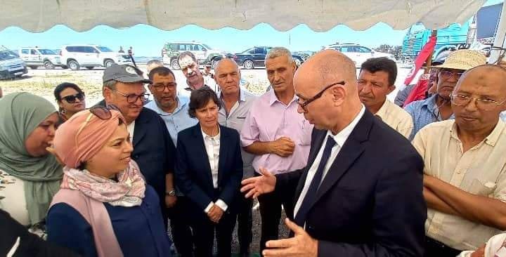 Aid El Idha : Les moutons de sacrifice disponibles en quantité suffisante et à des prix raisonnables