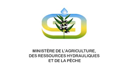 Gafsa : le commissaire régional au développement agricole limogé