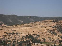 Opération de ratissage à la montagne de Hammamet !