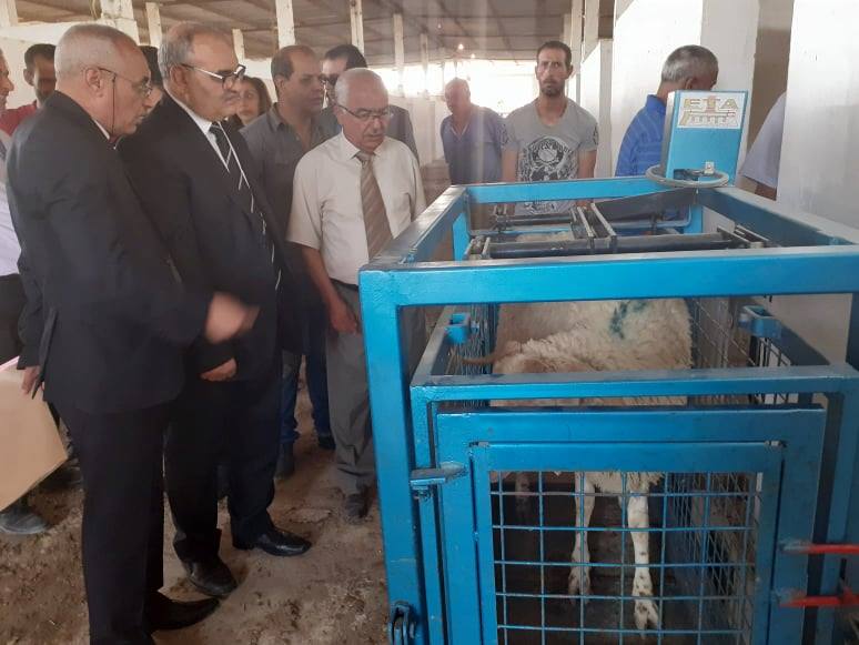 Aïd Adha : Ouverture d’un point de vente au kilo des moutons