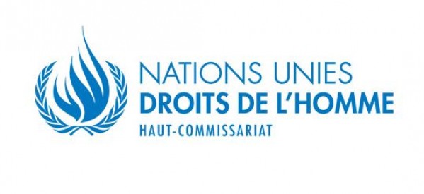 L’ONU Lance Une Campagne Video Sur Les Droits De L’homme Dans 135 Langues