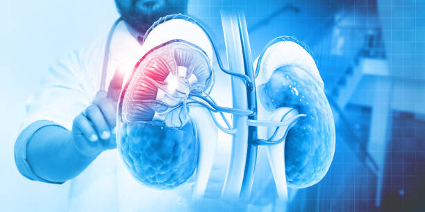 Néphrologie : Triple congrès à Tunis sur le traitement des maladies rénales