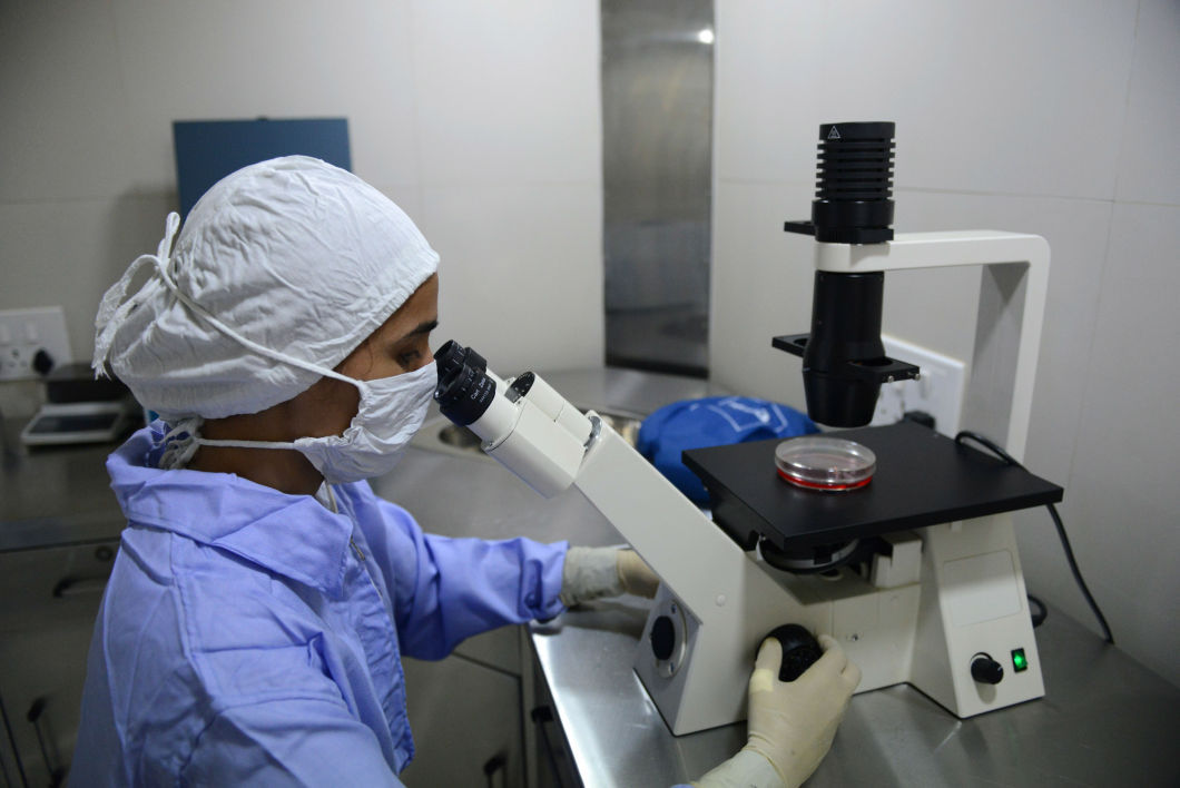 Un nouvel organe révélé devait permettre des avancées dans la lutte contre le cancer