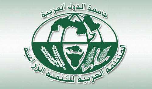 Le bureau des olives de l’Organisation arabe du développement agricole siégera à Tunis