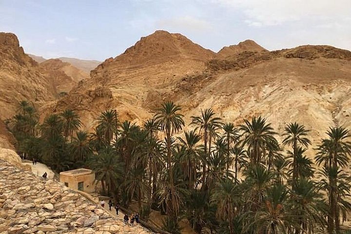 Tozeur : Salon international de l’irrigation intelligente et des énergies renouvelables (26-29 décembre)