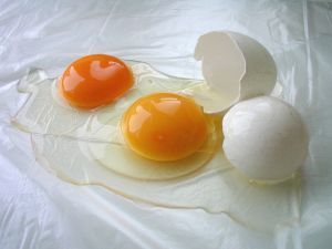 Bizerte : A fond les omelettes et l’Oujja