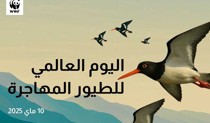 WWF : Protéger les oiseaux migrateurs menacés de disparition
