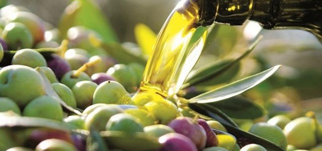  La Tunisie, première au monde pour la production d’olives biologiques