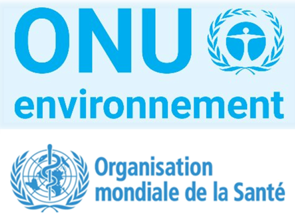 ONU-Environnement et l’OMS ensemble pour lutter contre les risques sanitaires et environnementaux