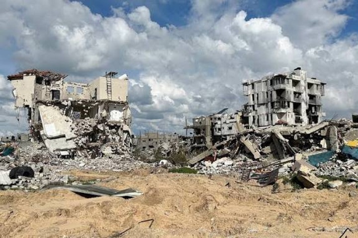 GAZA: 87 % des terres agricoles détruites par la guerre, selon l'ONU