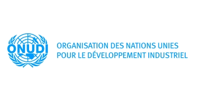 Séminaire sur le "réseautage d’affaires pour l’éco-innovation" par l'ONUDI
