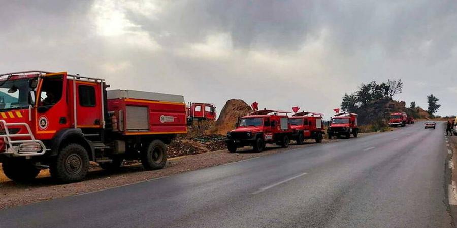 Tunisie- Algérie : Opération blanche conjointe pour lutter contre les incendies