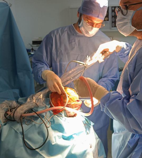 Nouvelle prouesse médicale : succès de trois opérations de neurochirurgie pédiatrique grâce à une technologie innovante.