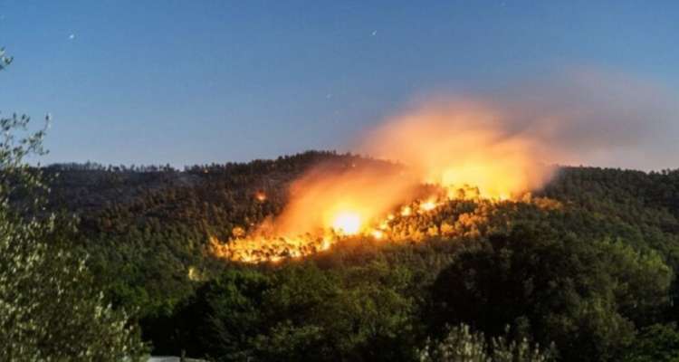 Les incendies à Nefza ont causés la mort d'un directeur d'école par asphyxie