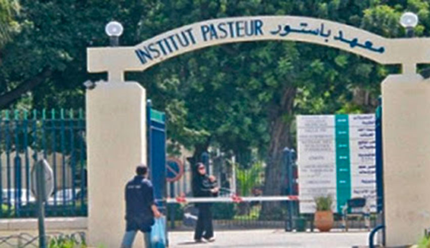 L'Institut Pasteur de Tunis se lance dans la course d'un vaccin contre la Covid-19