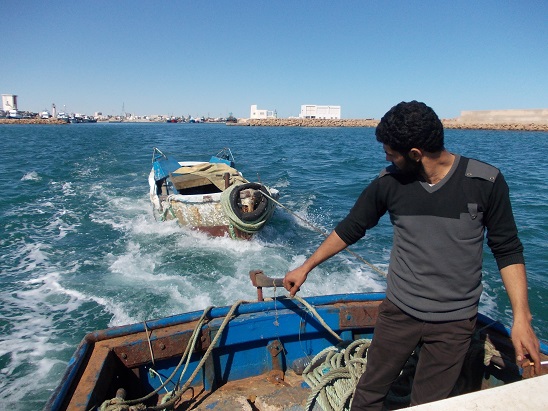 Excédent de la balance commerciale des produits de la pêche de 156,2 MDT