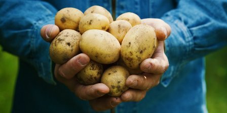 Commerce : plafonnement des prix des pommes de terre et des poissons
