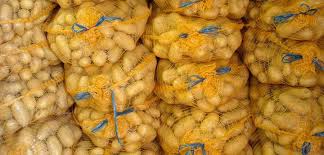 Le Syndicat des Agriculteurs dénonce l'importation de pommes de terre d'Egypte