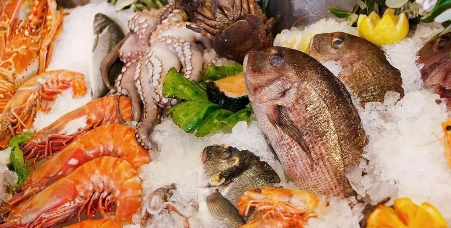 ONAGRI : Excédent de 9,1 MD de de la balance commerciale des produits de la pêche