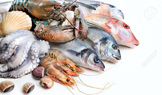 Balance commerciale des produits de la pêche : un excédent plus important qu’en 2017