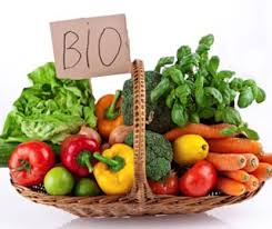 Exportation des produits agricoles biologiques : près de 50mille tonnes pour 1,2 milliard de dinars