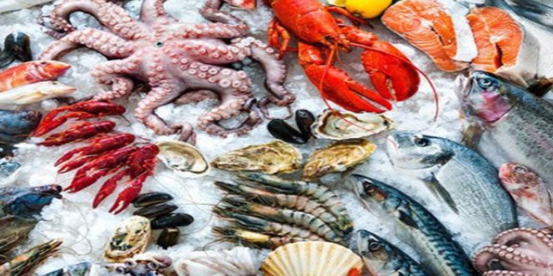 Produits de la pêche : L’excédent de la balance commerciale progresse de 5,3%,