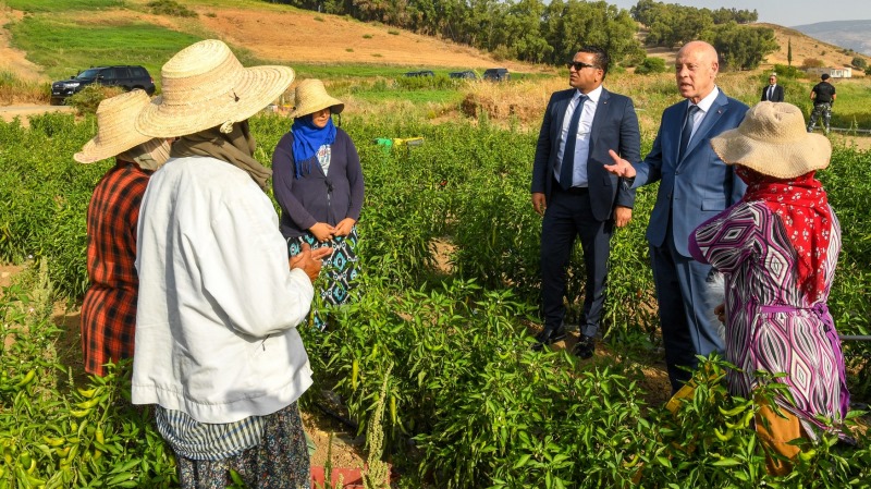 Kaïs Saied rencontre des ouvrières agricoles à Jendouba