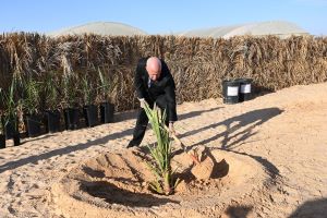 Tunisie: Kais Saied plante des arbres à Rjim Maatoug
