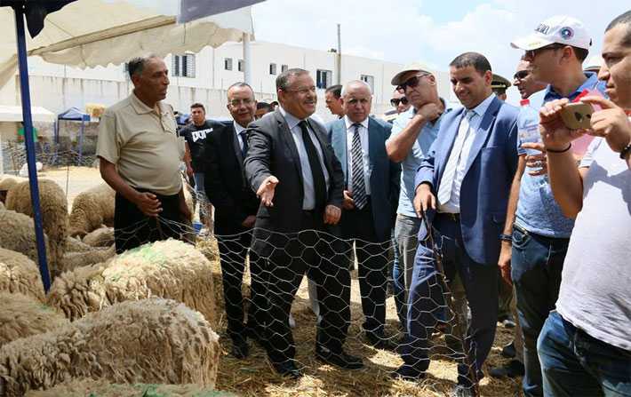 Samir Taieb: "On peut trouver un mouton à 250 DT dans les points de vente autorisés"
