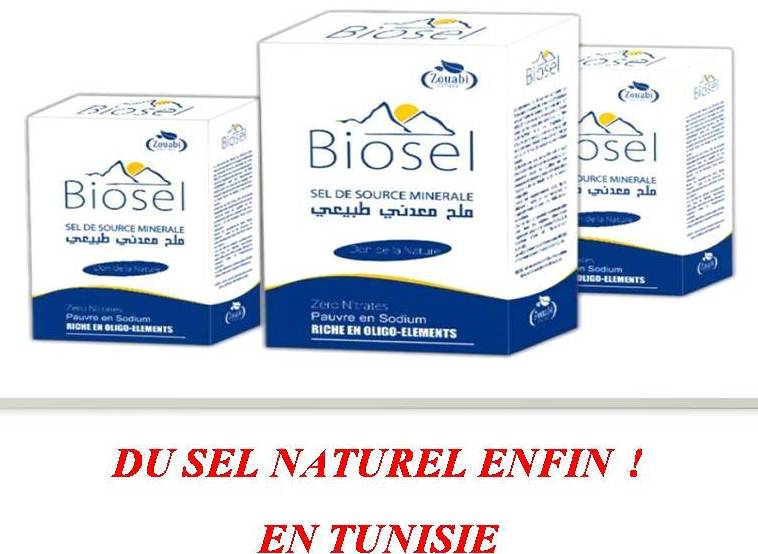 Innovation dans l’industrie agroalimentaire en Tunisie: BioSel redonne de la valeur au sel