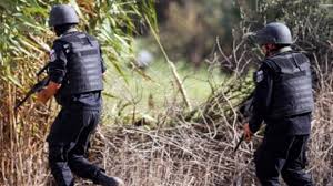 2 terroristes éliminés dans une embuscade de l’Armée au Mont Semama