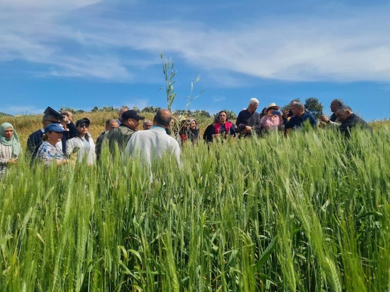 Tunisie: Appui au développement d’une agriculture biologique durable dans un contexte de changement climatique