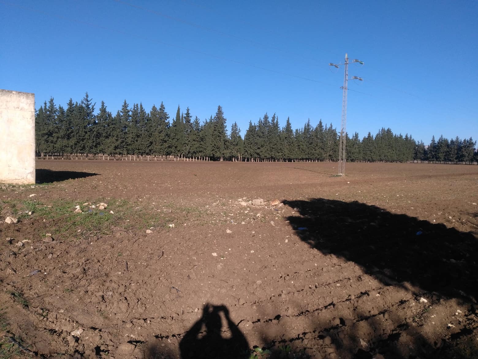 L’Etat récupère 24 hectares à Siliana
