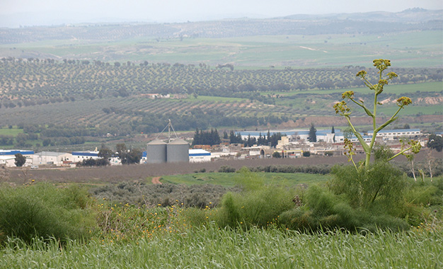 Siliana: L’Etat récupère neuf hectares exploités illégalement