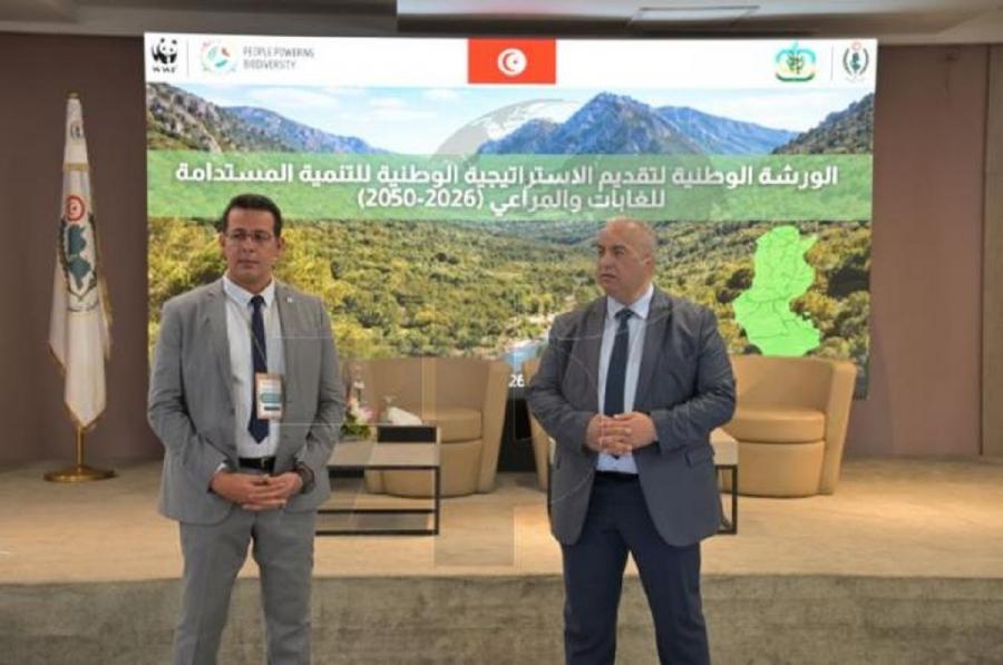  La Tunisie révise sa Stratégie nationale de développement durable des forêts et des parcours