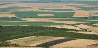 L’Etat récupère 486 ha à Nabeul et réhabilite 984 ha à Zaghouan