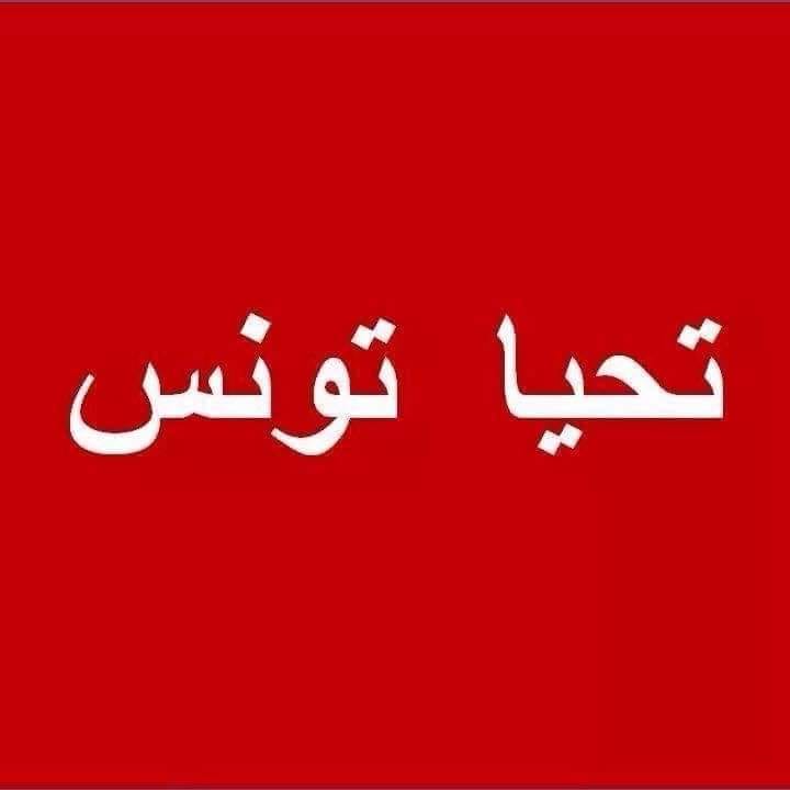 Tunisie : qui sont les financiers de « Tahya Tounes » ?