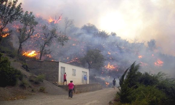Arrestation de plus de 18 individus impliqués dans les départs de feux de forêt en Algérie
