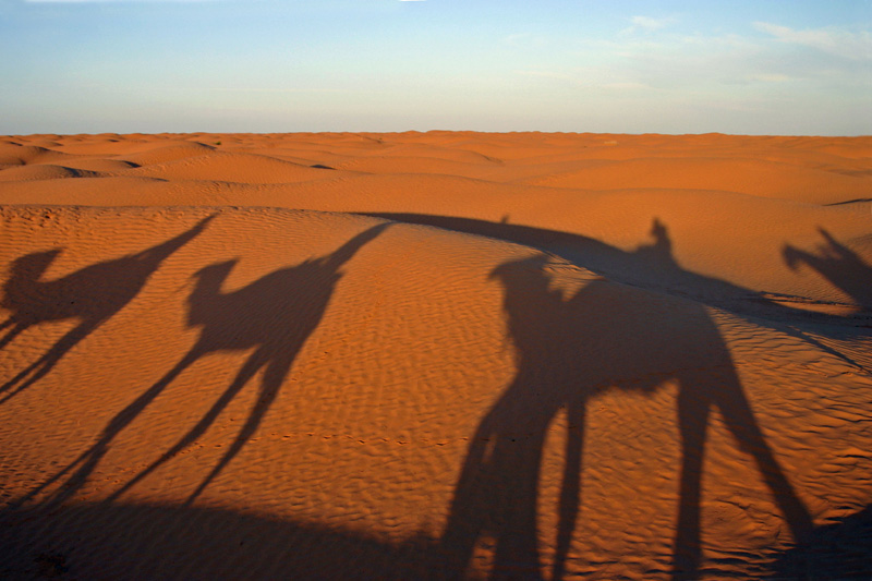 Sauvetage de quatre touristes dans le Sahara de Tataouine