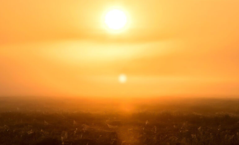 Tunisie : des températures au-dessus des normales saisonnières attendues au premier trimestre 2026