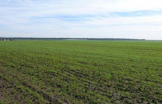 Bizerte: Plus de 200 hectares de terres agricoles accordées aux chômeurs