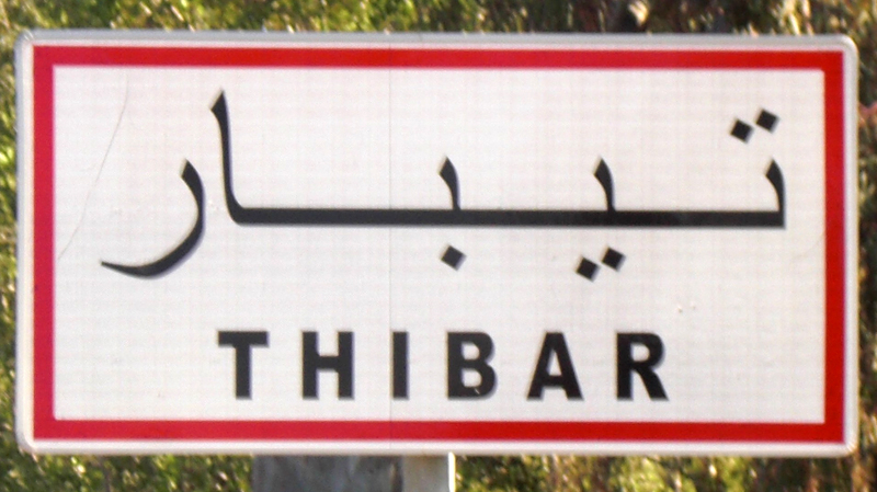 Démission de 12 membres du conseil municipal de Thibar (Béja)