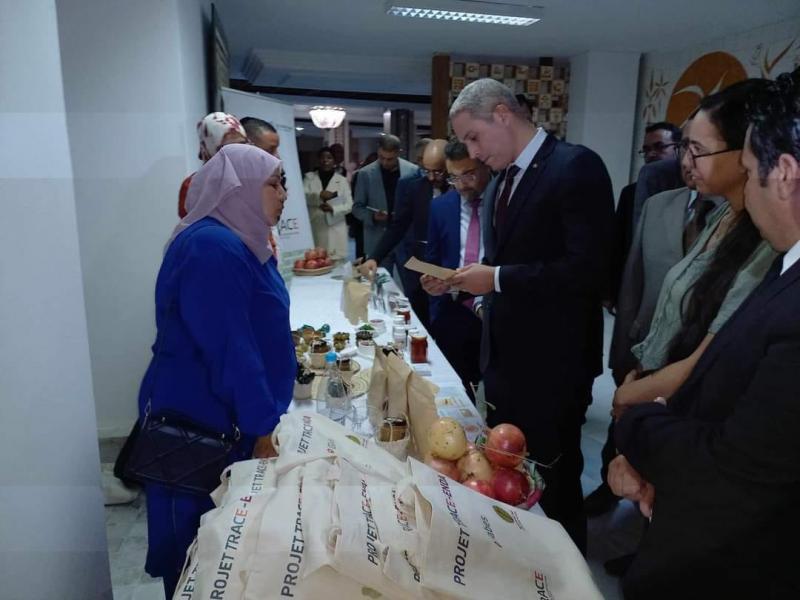 Gabès : Valorisation du produit touristique saharien et oasien écologique et durable