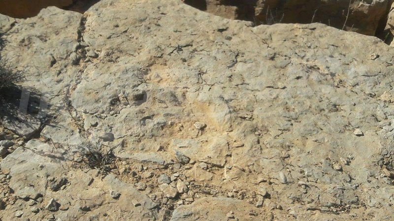 Tataouine, terre des dinosaures