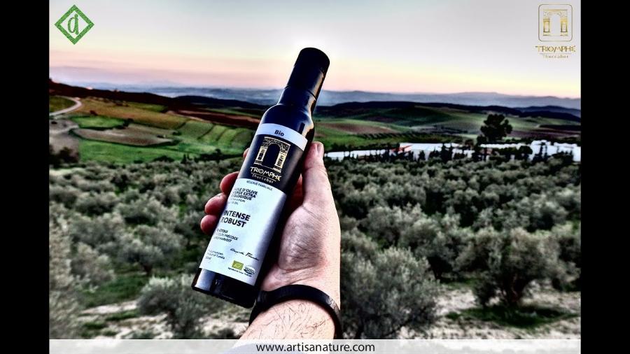 Béja: L’huile d’olive biologique 'Thuccabor' médaillée d’or en Italie