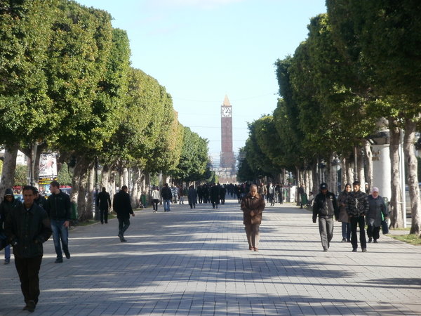 Tunis : Plan d’action pour éliminer les points noirs environnementaux