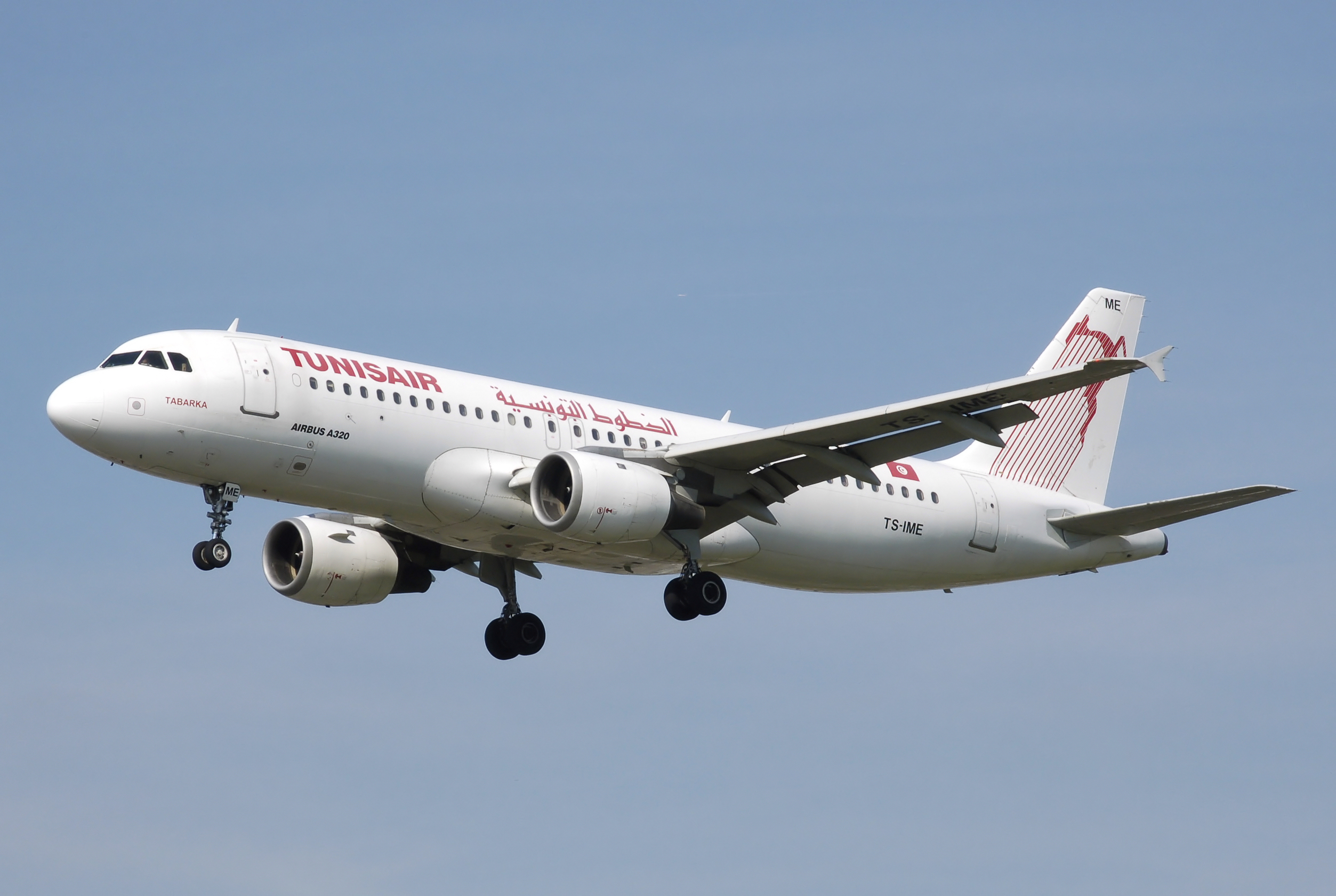 Les couples à l'honneur chez Tunisair