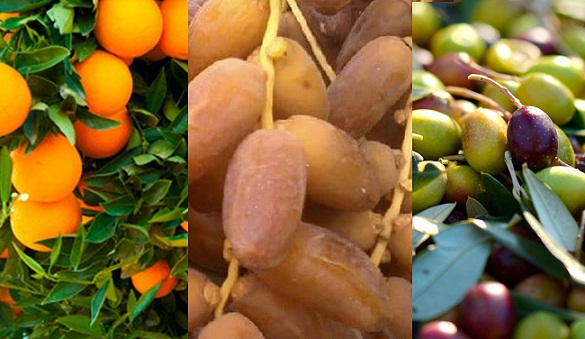 Tunisie : Un dispositif exceptionnel pour fluidifier la commercialisation des récoltes